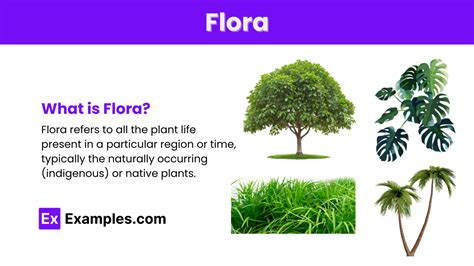 examples of flora.